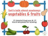 Let's talk about anatomy - fruits & vegetables!