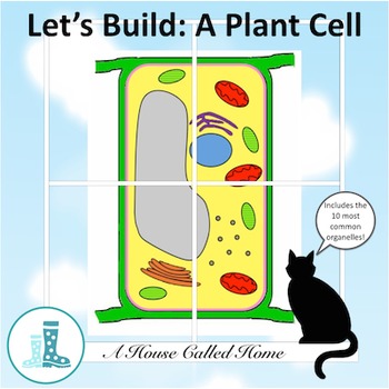 Preview of Let's Build: A Plant Cell