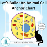 Let's Build: An Animal Cell Anchor Chart