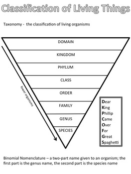 Levels Of Classification Chart