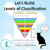 Let's Build: Levels of Classification