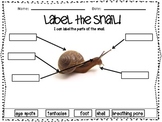 Let's Label the Creatures! Worm-Snail-Fish Labeling Unit