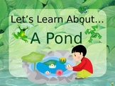 Let's Learn About A Pond! (Powerpoint)