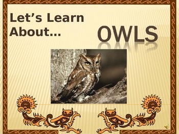 Preview of Let's Learn About Owls! (Powerpoint)