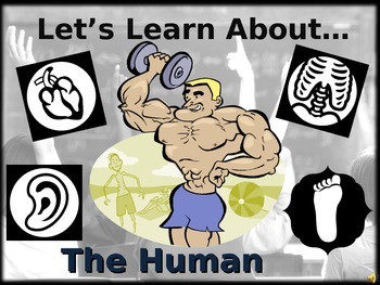 Preview of Let's Learn About The Human Body! (Powerpoint)