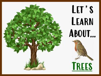 Preview of Let's Learn About Trees! (Powerpoint)