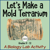 Fungi Lab Let's Make a Mold Terrarium