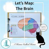 Let's Map: The Brain