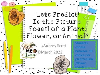 Preview of Lets Predict Science Lesson #2 Rocks/Fossils