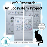 Let's Research: An Ecosystem Project