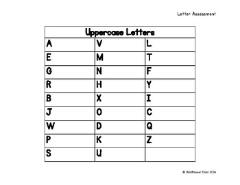 Preview of Letter Assessment- Progress Monitoring