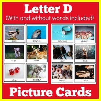 Letter D | Words Picture Cards | Preschool Kindergarten | Letter of the ...