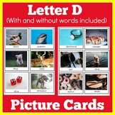 Letter D  | Words Picture Cards | Preschool Kindergarten |