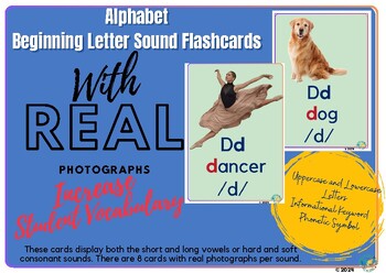 letter d flashcards by traveling and teaching teachers pay teachers