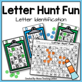 Letter Hunt Fun  - Uppercase and Lowercase Letter Identification