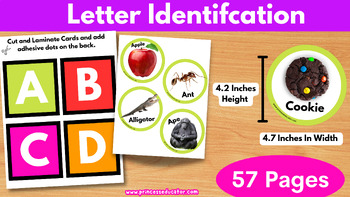 Preview of Letter Identification Game