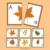 Letter Matching Uppercase and Lowercase Fall Activities Au