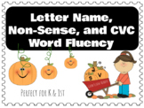 Letter Name, Non Sense Word, VC and CVC Reading Fluency Ki