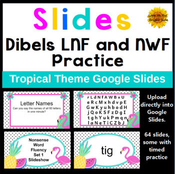 Preview of Letter Naming and Nonsense Words Dibels LNF and NWF Practice Google Slides 