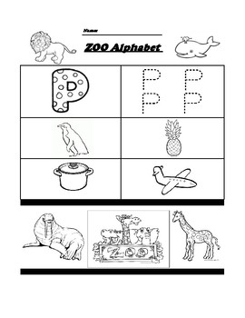 Letter P Worksheet by Pointer Education | Teachers Pay Teachers