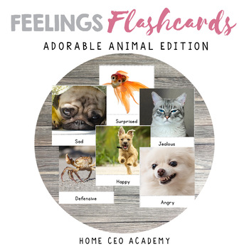 Preview of Feelings and Emotions Flashcards Free