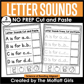Preview of Letter Sounds NO PREP