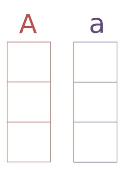 Preview of Letter Writing Practice (Uppercase and Lowercase)