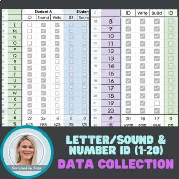 Preview of Letter and Sound & Number ID Data Sheet 