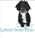 Letters From Enzo Social Emotional Learning Newsletter