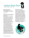 Letters From Enzo Vol. 1, Issue 4 Respecting the Belonging