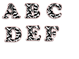 Letters, Numbers, and Symbols (Zebra and Pink)