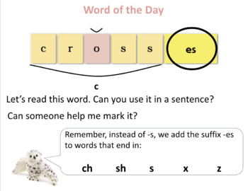 This week's word of the week is… - ppt download