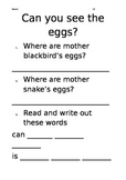 Level 2 text: Can you see the Eggs?