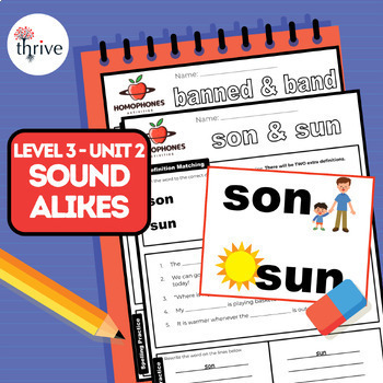Preview of Level 3 Unit 2 Phonics - Homophones and Sound Alikes - 2nd, 3rd, and 4th Grade!