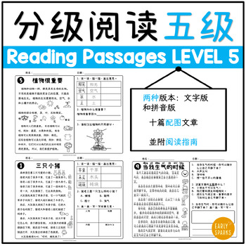 Preview of Level 5 Reading Passages in Simp Chinese w/ Pinyin and Words Only 简体中文