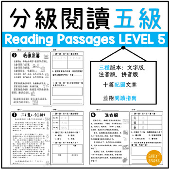 Preview of Level 5 Reading Passages in Trad Chinese w/ Pinyin, Zhuyin and Words Only 繁體中文