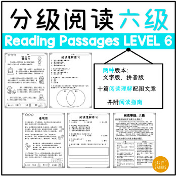 Preview of Level 6 Reading Passages in Simp Chinese w/ Pinyin and Words Only 简体中文