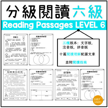 Preview of Level 6 Reading Passages in Trad Chinese w/ Pinyin, Zhuyin and Words Only 繁體中文