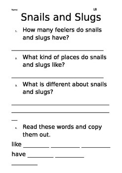 Preview of Level 8: Snails and Slugs worksheet