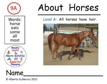 Preview of Level A: About Horses #9A