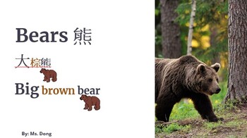 Preview of Level A Bears (Bilingual Simplified Chinese)