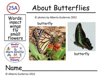 Preview of About Butterflies #25A