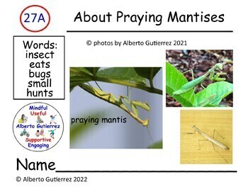 Preview of Nonfiction: About Praying Mantises #27A