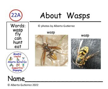 Preview of Nonfiction: About Wasps #22A