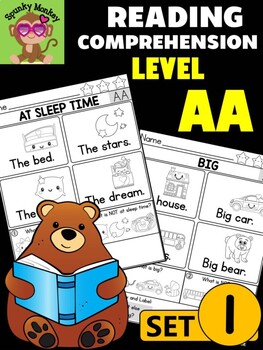 Preview of Level AA Reading Comprehension Passages & Questions - SET 1