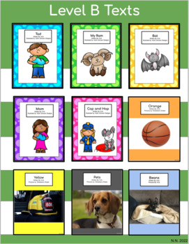 Preview of Level B Decodable Readers