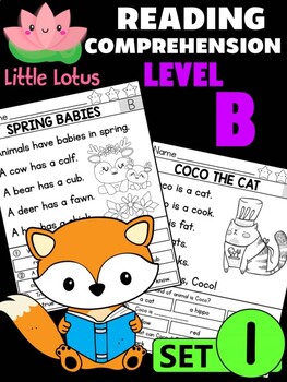 Preview of Level B Reading Comprehension Passages & Questions - SET 1