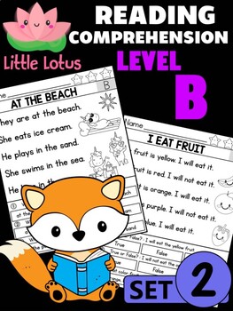 Preview of Level B Reading Comprehension Passages & Questions - SET 2