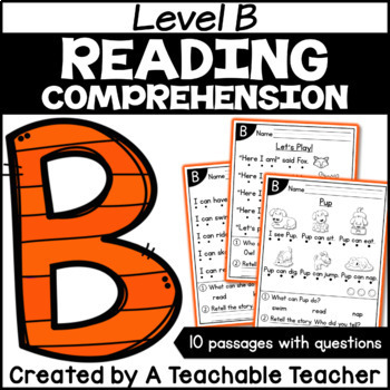 Preview of Level B Reading Comprehension Passages and Questions Digital Resource
