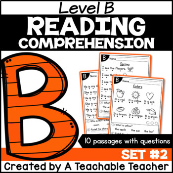 Preview of Level B Reading Comprehension Passages and Questions SET TWO Digital Resource